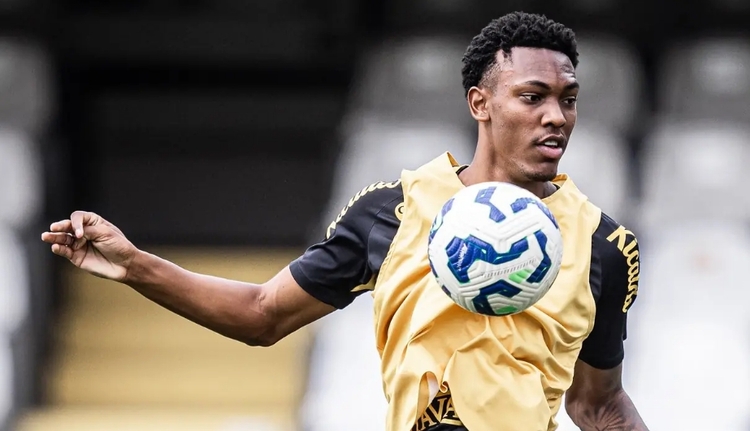 Foto: Raul Baretta/ Santos FC