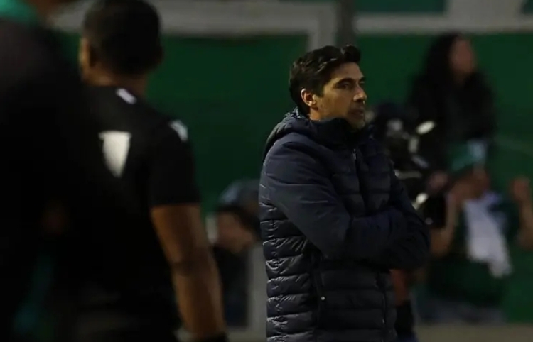 Foto: Cesar Greco/ Palmeiras