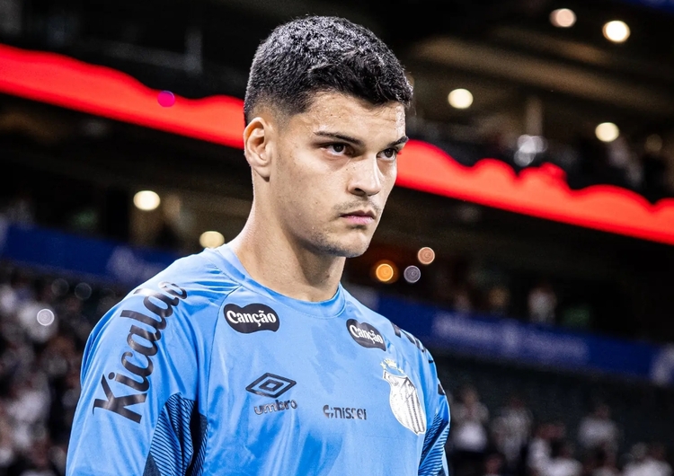 Foto: Raul Baretta/ Santos FC