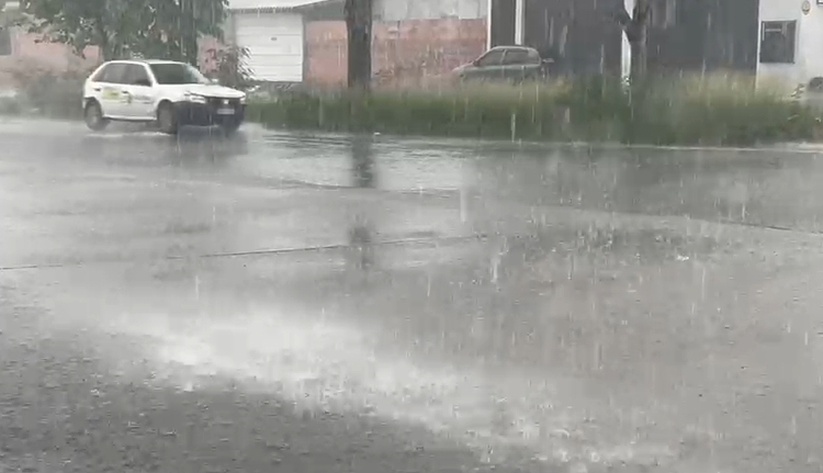 Foto: Jander Robson/ Portal do Holanda