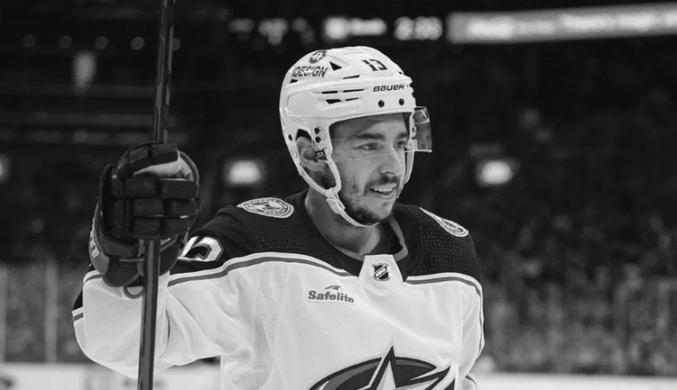 Foto: Reprodução/ @PR_NHL