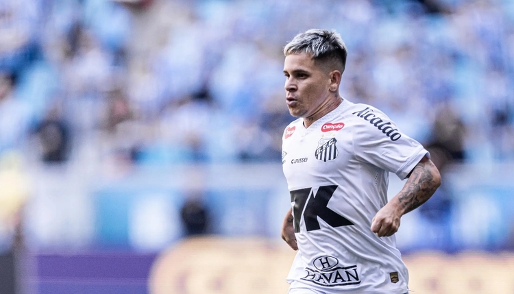 Foto: Raul Baretta/ Santos FC