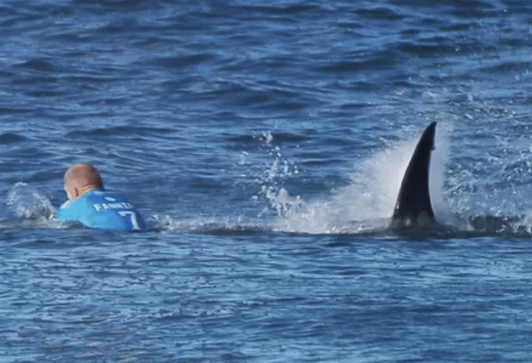 Foto: Divulgação/ WSL