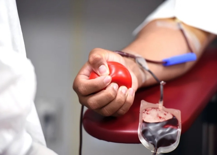 Hematologista tira dúvidas sobre o assunto no Dia do Doador de Sangue / Foto: Reprodução Pixabay