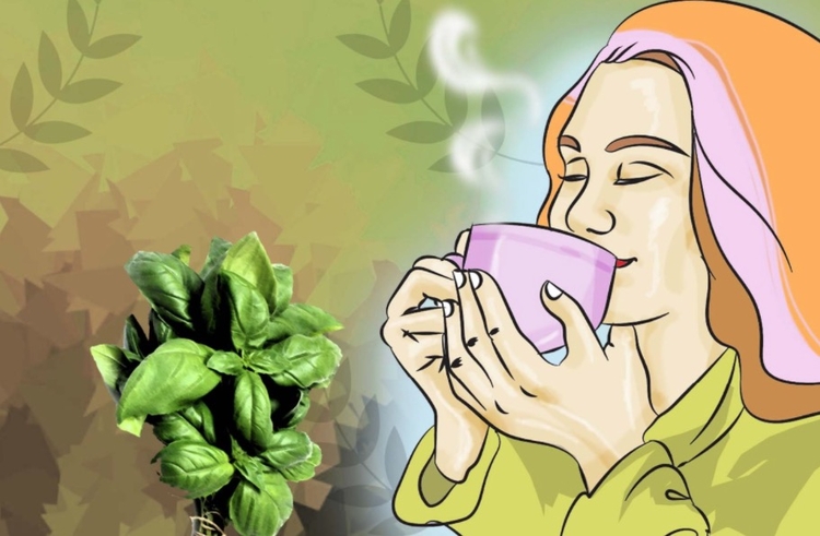 Imagem: Liminha Júnior