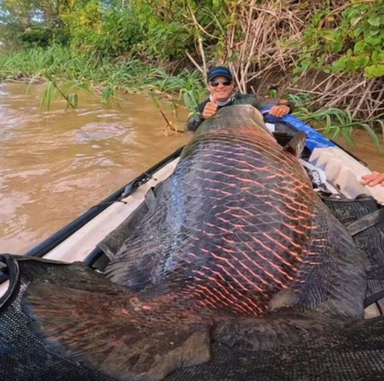 Foto: Reprodução/Redes sociais