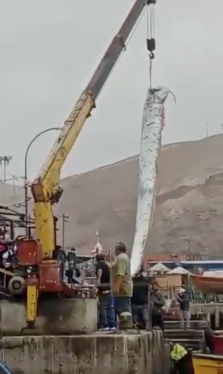 Foto: Reprodução/Twitter