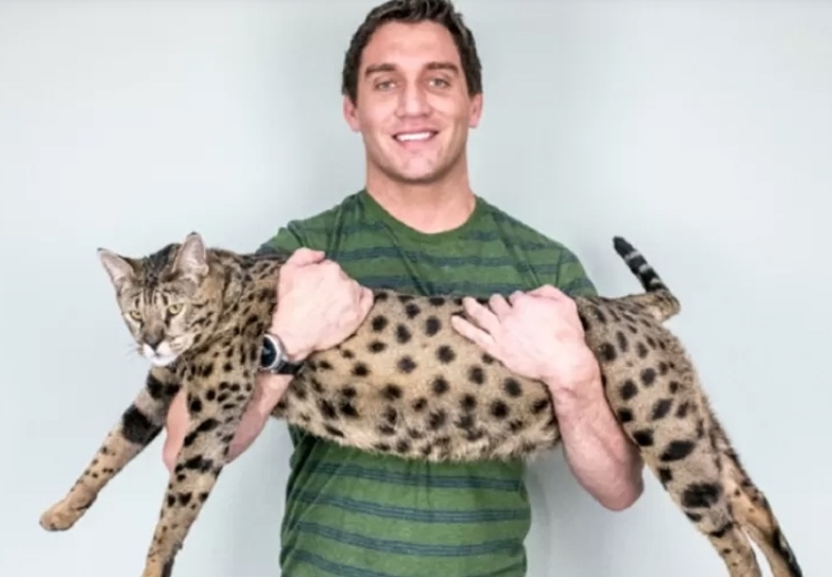 Confira 5 recordes inusitados do Guiness Book 2022