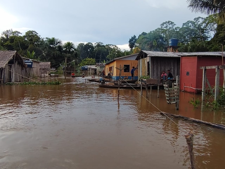Foto: Divulgação /  iniciativa pretende auxiliar toda a Reserva de Desenvolvimento Sustentável de Uacari, no município de Carauari