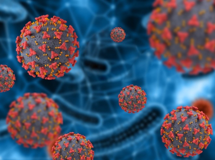 Vírus é letal - Foto: Freepik Ilustrativa