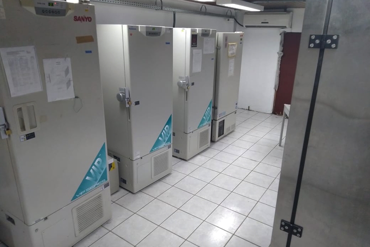 Vacina precisa de -80°C - Foto: UFRGS