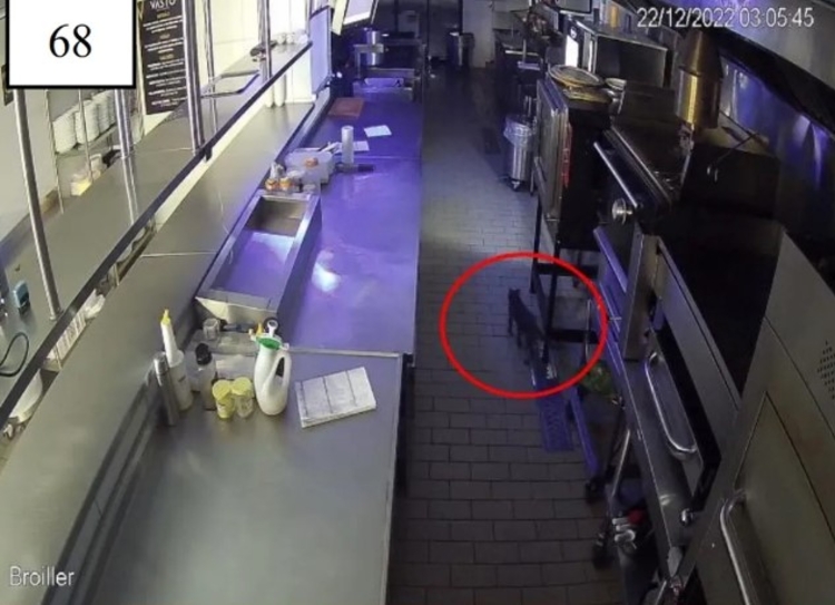 Foto: Reprodução/ câmeras de segurança