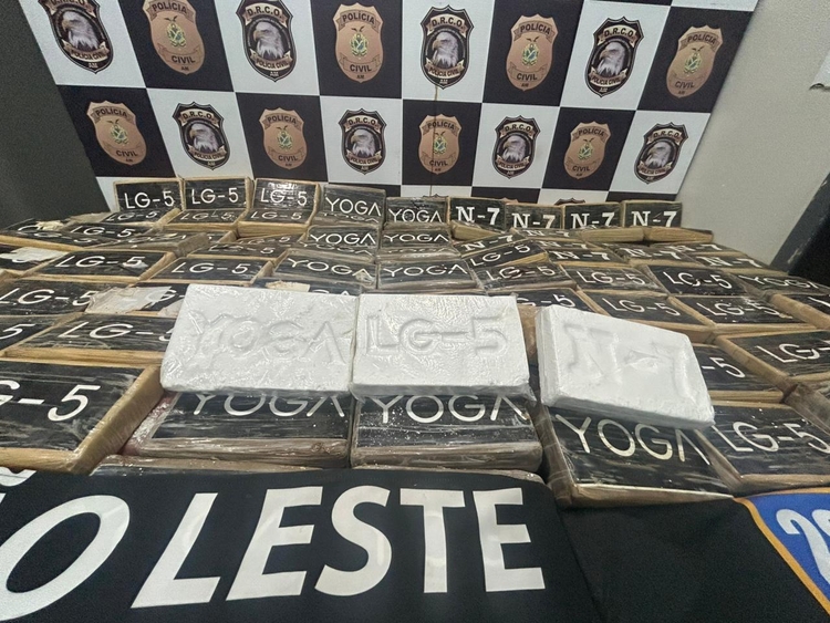 Drogas apreendidas - Foto: Jander Robson/Portal do Holanda
