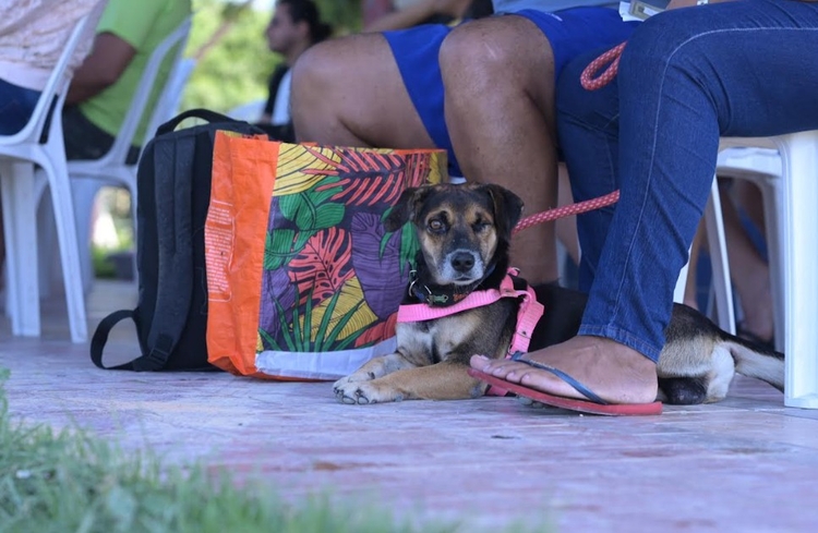 Foto:Divulgação Sepet