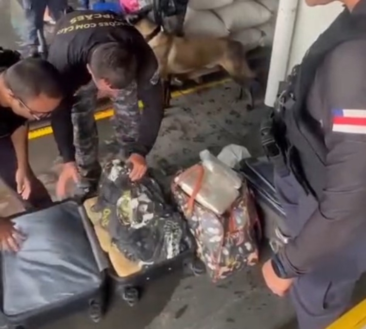 Quarenta e sete quilos de drogas apreendidos- Foto: Divulgação 