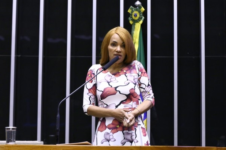 Deputada Flordelis. Foto: Divulgação/ Câmara dos Deputados