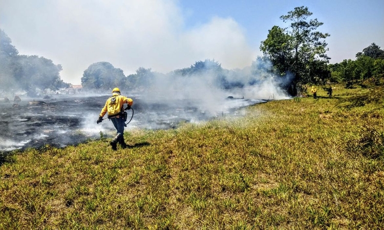 Foto: Divulgação/ Instituto Brasília Ambiental