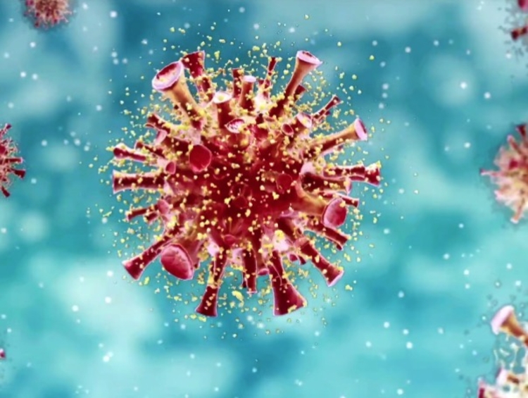 Nova cepa é mais contagiosa - Foto: Ilustrativa