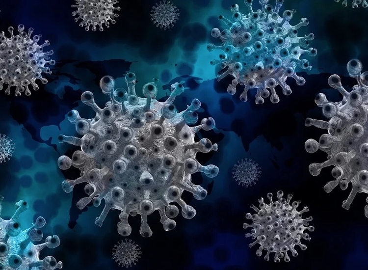 Coronavírus - Imagem: Ilustrativa/Pixabay 