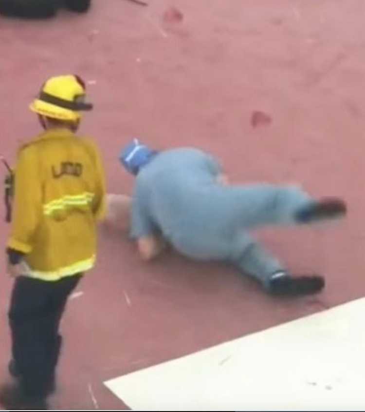 O médico acabou tropeçando no caminho e caiu no chão junto com o coração que carregava nas mãos - Imagem: Reprodução/YouTube/FOX 5 San Diego