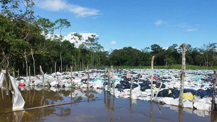Foto: Divulgação/DPE-AM