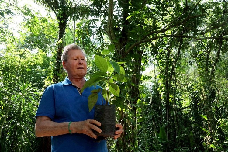 Proteger árvore é defender a Amazônia, diz Arthur Neto - Foto: Mário Oliveira/Semcom
