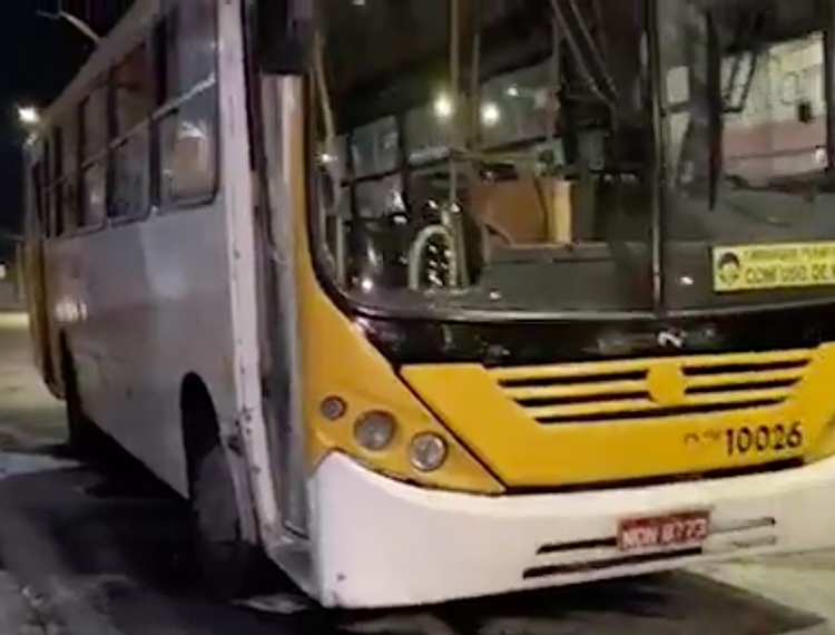 Corpo de Bombeiros foi acionado para conter as chamas (Foto: Reprodução)