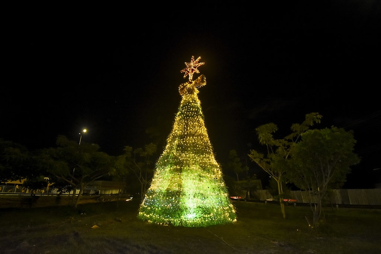 A artista plástica Rosa dos Anjos propôs projeto em 2017