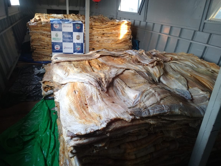 Carga apreendida em compartimento do barco - Foto: Divulgação