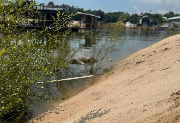 Corpo está próximo à margem - Foto: Neto Silva/Portal do Holanda