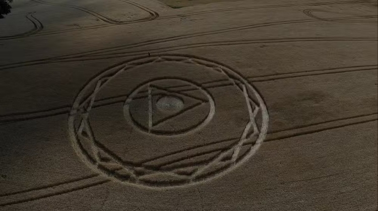 Foto: Reprodução/NSC TV