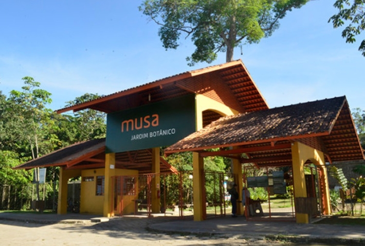 Musa - Foto: Reprodução da página Museu da Amazônia 
