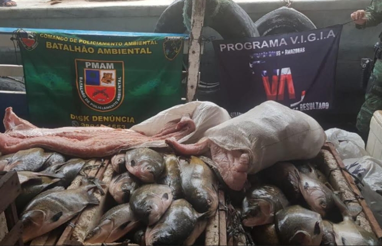 Pescado apreendido - Foto: Divulgação