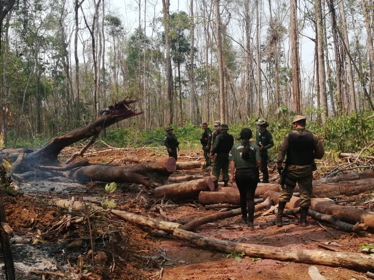 Ação do Estado contra desmatamento e queimadas resultou em aproximadamente R$ 30 mil em multas por crimes ambientais - Divulgação: Sema 