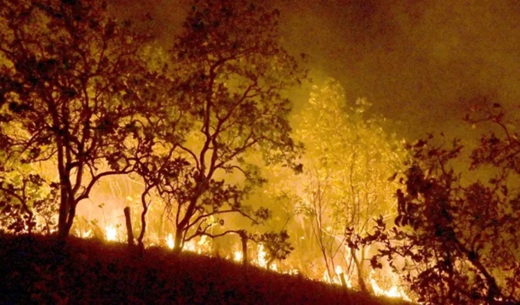 Foto:Jader Souza/AL Roraima
