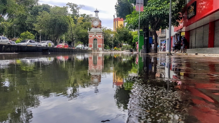Foto: Pedro Braga Jr/Portal do Holanda