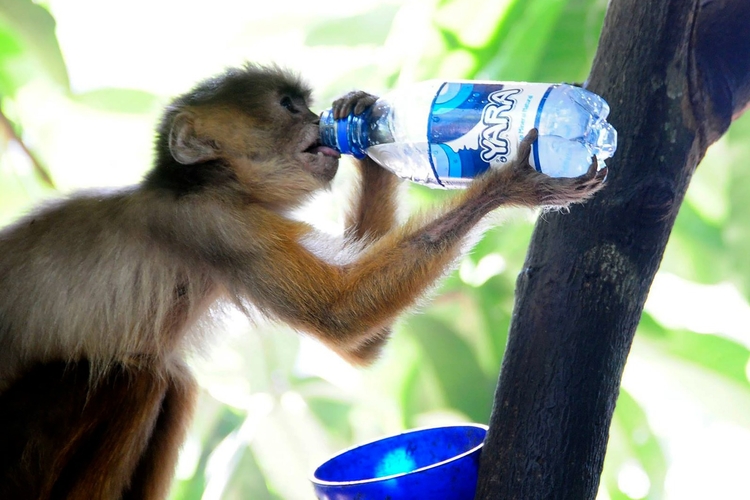 Foto: Divulgação/ Mauro Smith