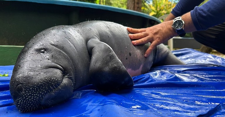 Foto: Fernanda Farias- Ascom Ampa