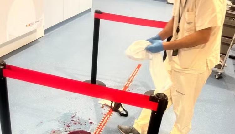 Foto: Divulgação / Frederico Werpel Fernandes