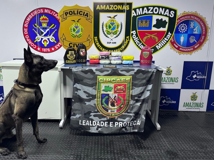 As drogas apreendidas foram avaliadas em R$ 745 mil - Foto: Divulgação /SSP-AM