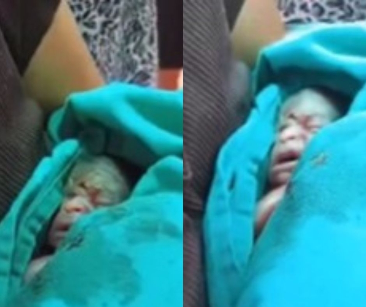 Foto: Reprodução de vídeo