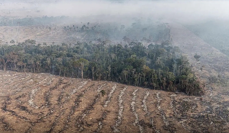 Foto: Marizilda Cruppe/ Greenpeace