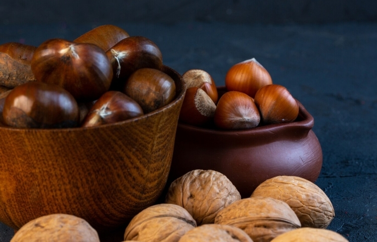 Foto: Reprodução/Freepik