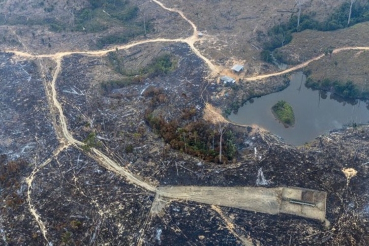 Foto: Marizilda Cruppe / Greenpeace