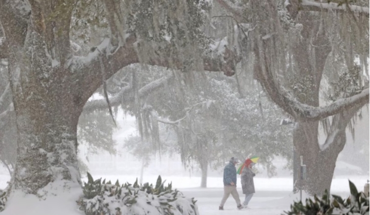 Foto: Reprodução/X