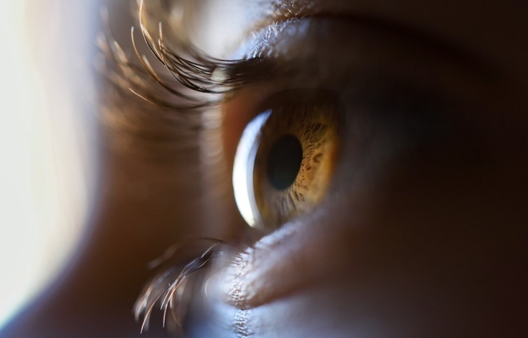 Foto: Reprodução/Freepik