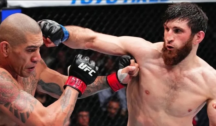 Foto: Divulgação UFC