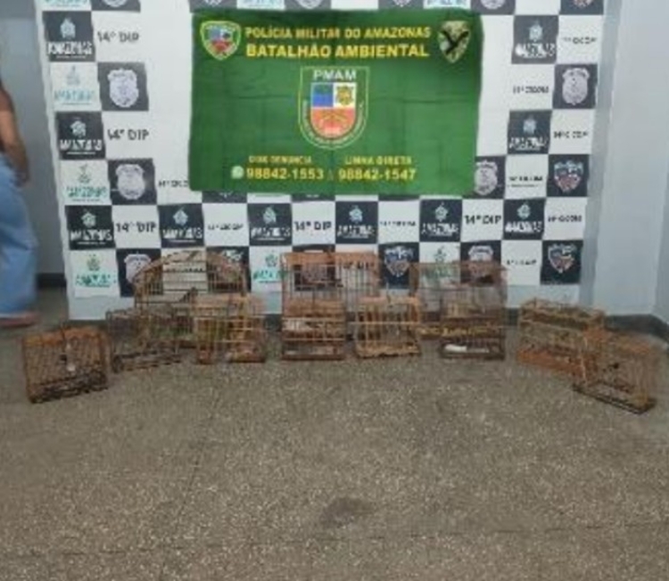 Foto: Divulgação