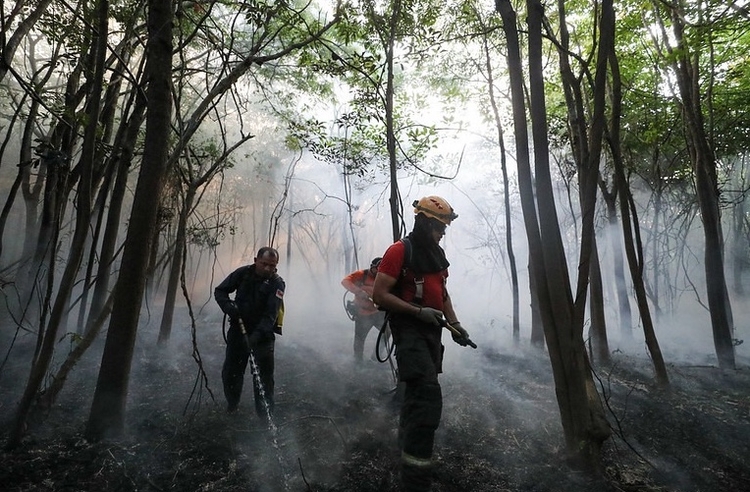 Foto: Divulgação/União Brasil - AM