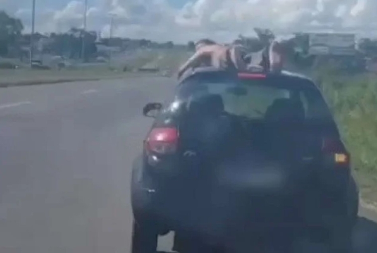 Foto: Polícia Rodoviária Federal